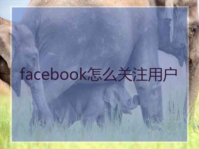 facebook怎么关注用户