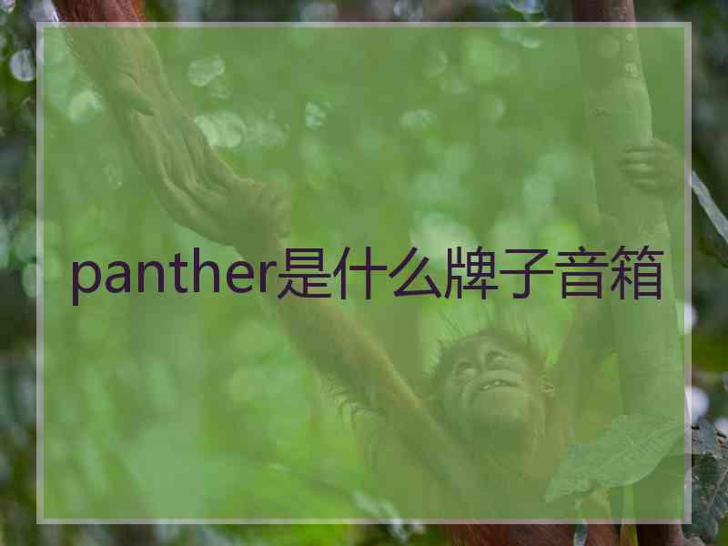 panther是什么牌子音箱