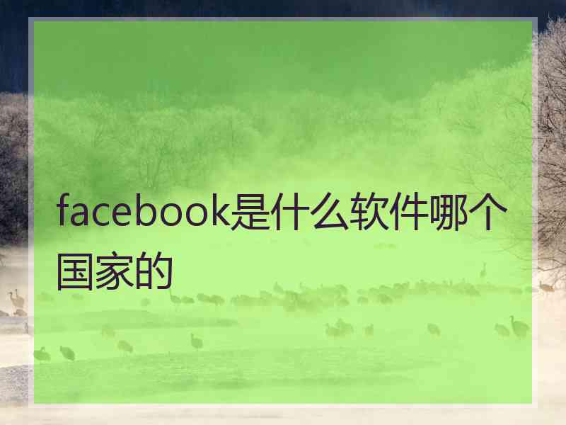 facebook是什么软件哪个国家的