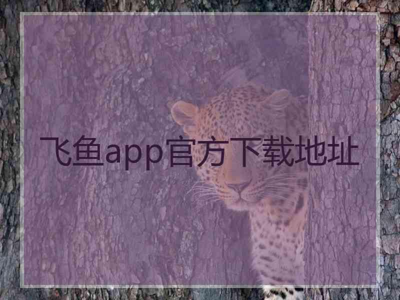 飞鱼app官方下载地址