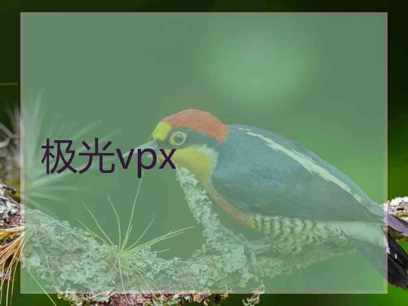 极光vpx