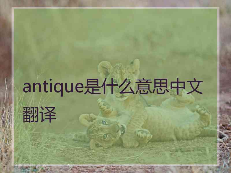 antique是什么意思中文翻译