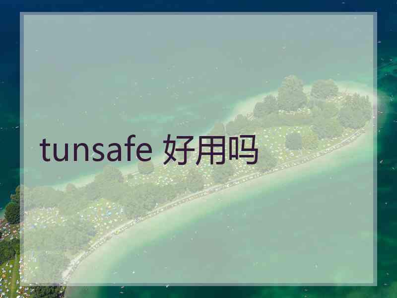 tunsafe 好用吗