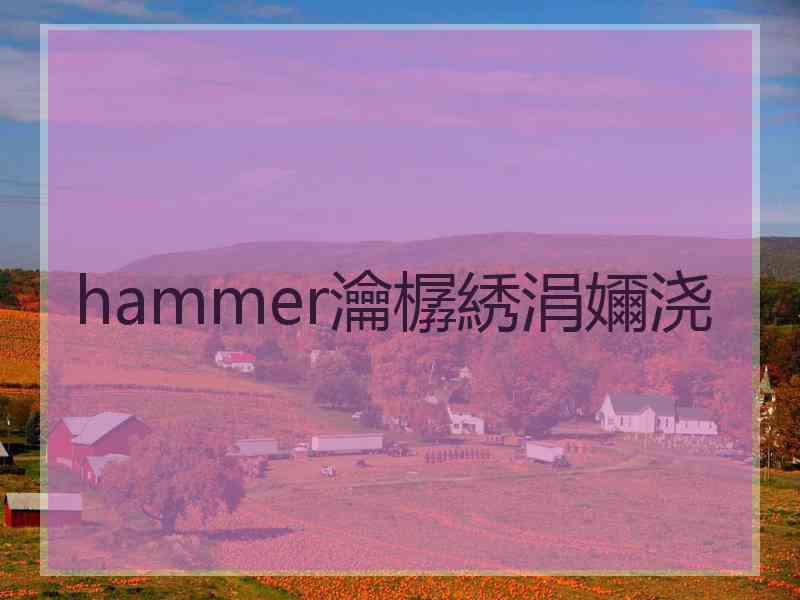 hammer瀹樼綉涓嬭浇