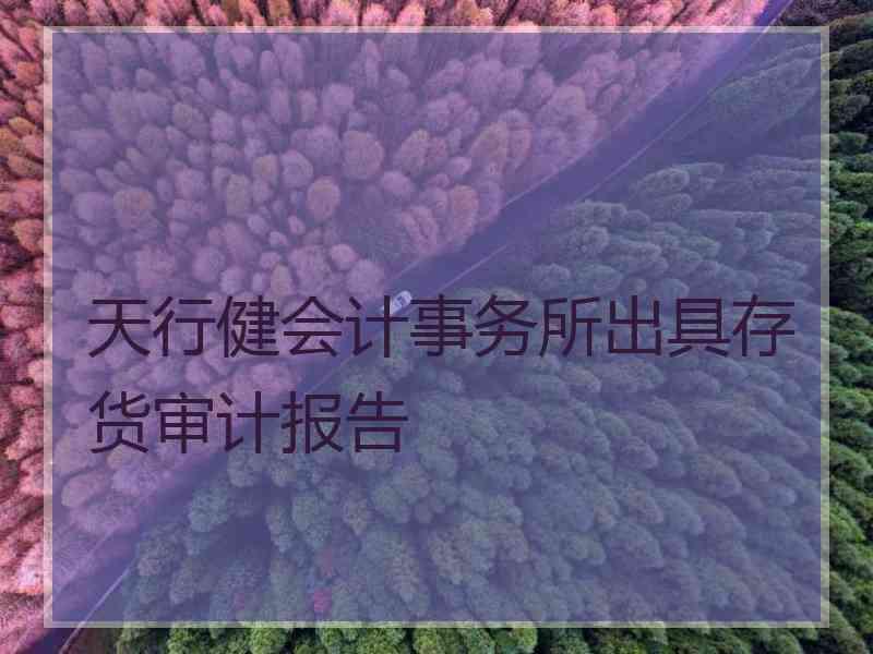 天行健会计事务所出具存货审计报告