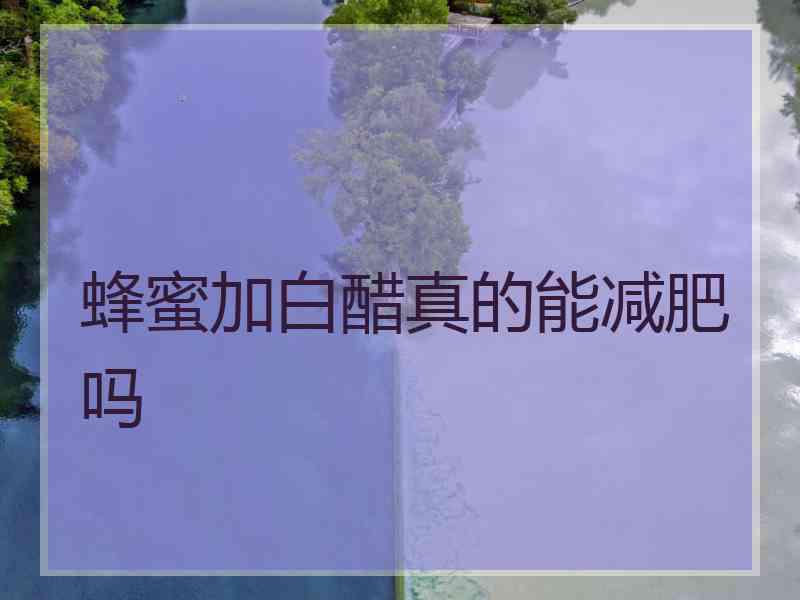 蜂蜜加白醋真的能减肥吗