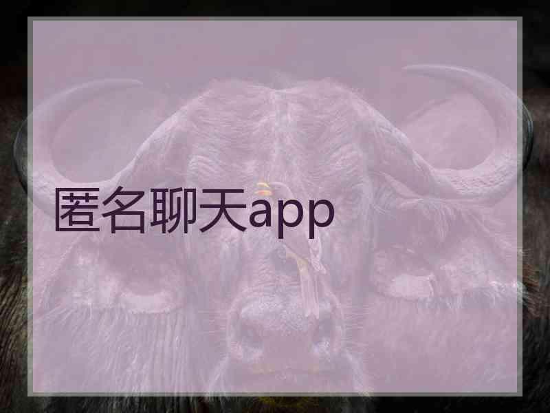 匿名聊天app