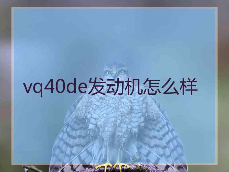 vq40de发动机怎么样