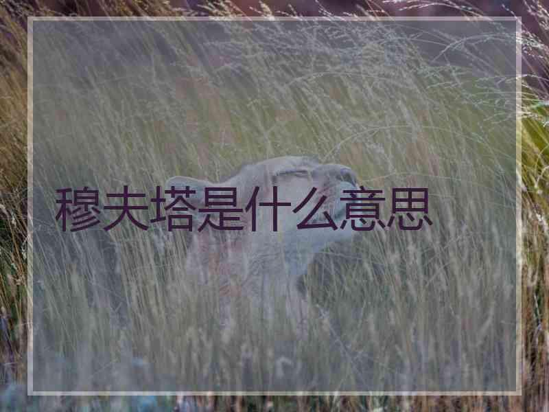 穆夫塔是什么意思