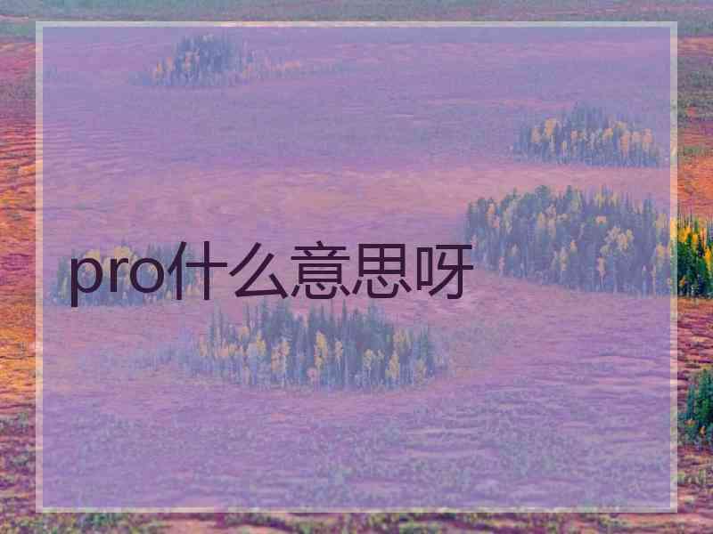 pro什么意思呀