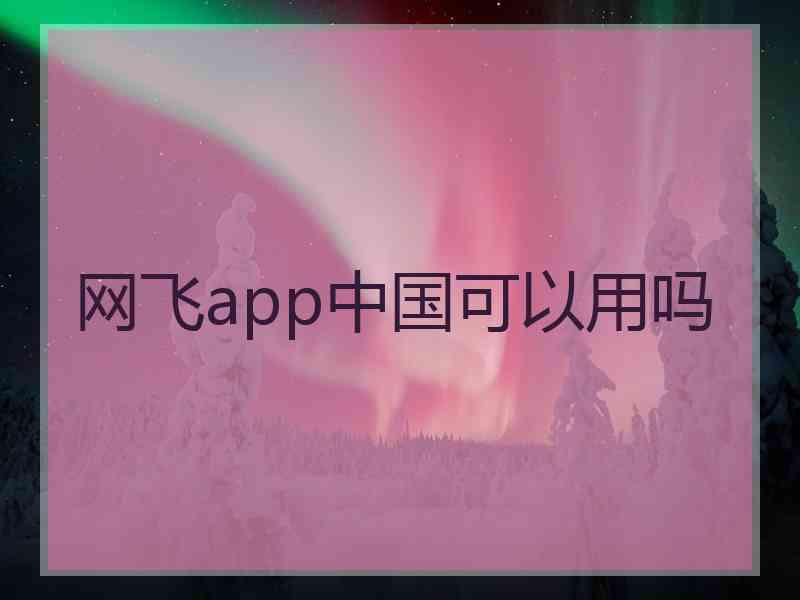 网飞app中国可以用吗