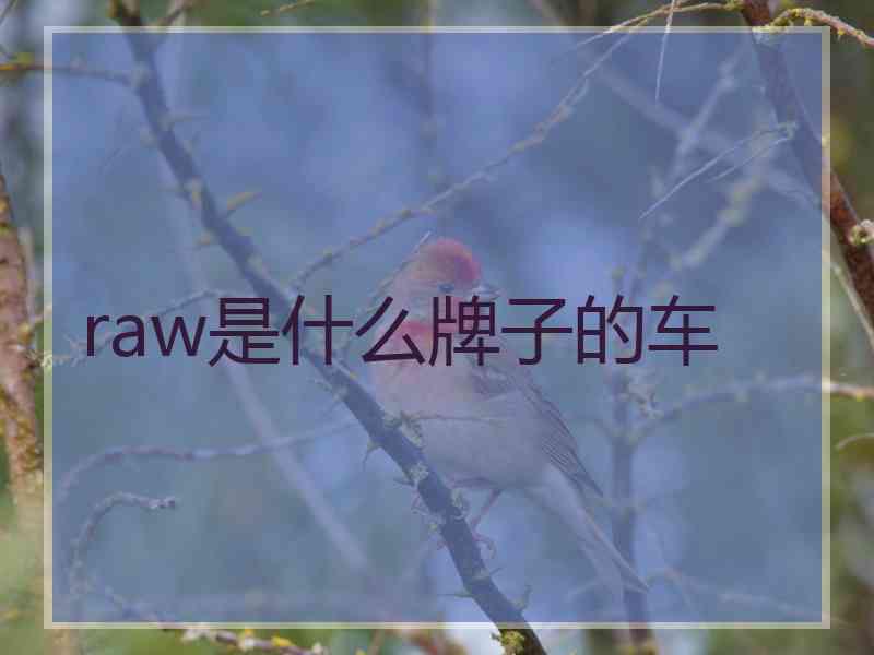 raw是什么牌子的车