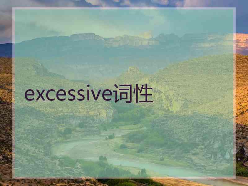 excessive词性