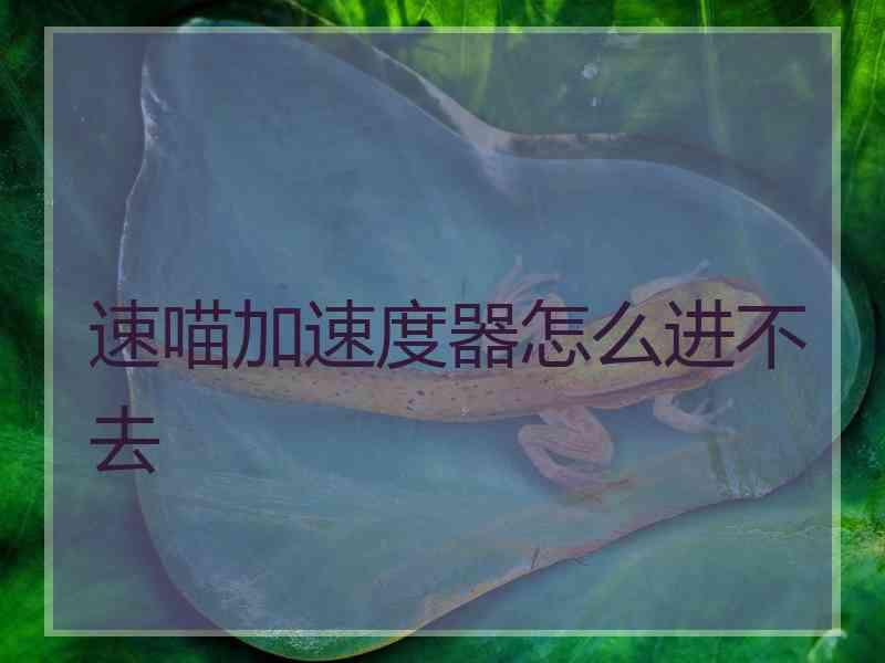 速喵加速度器怎么进不去