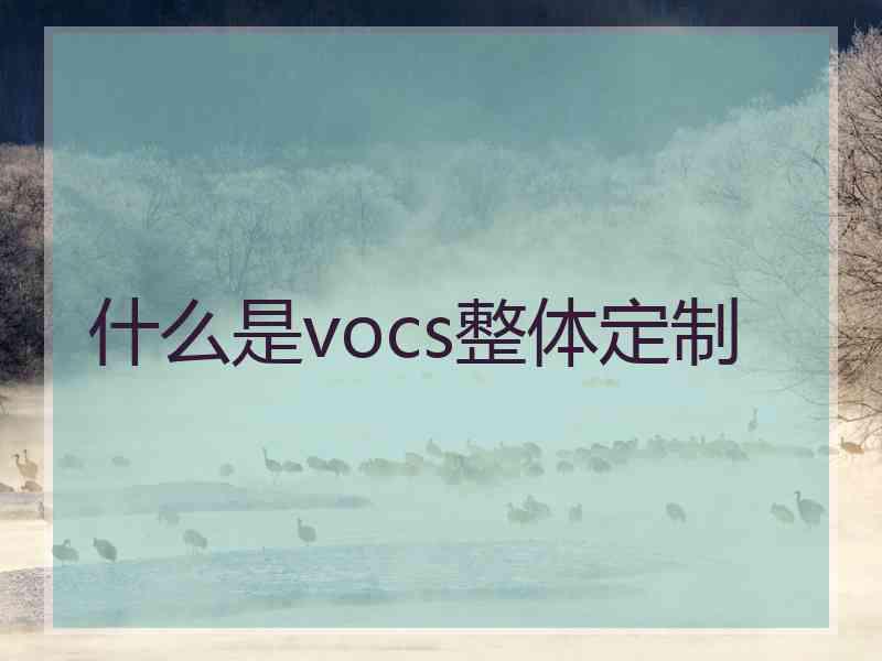 什么是vocs整体定制