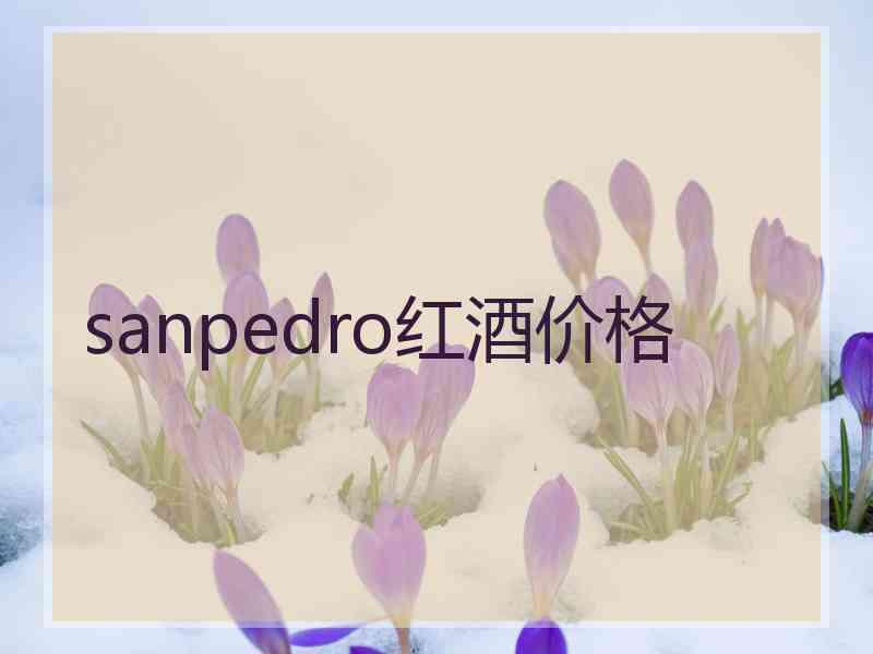 sanpedro红酒价格