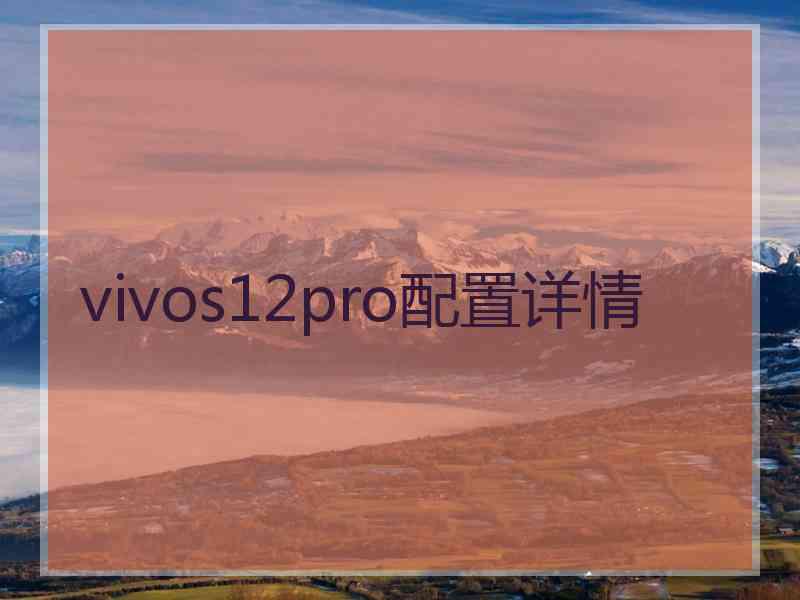 vivos12pro配置详情