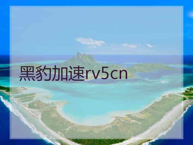 黑豹加速rv5cn