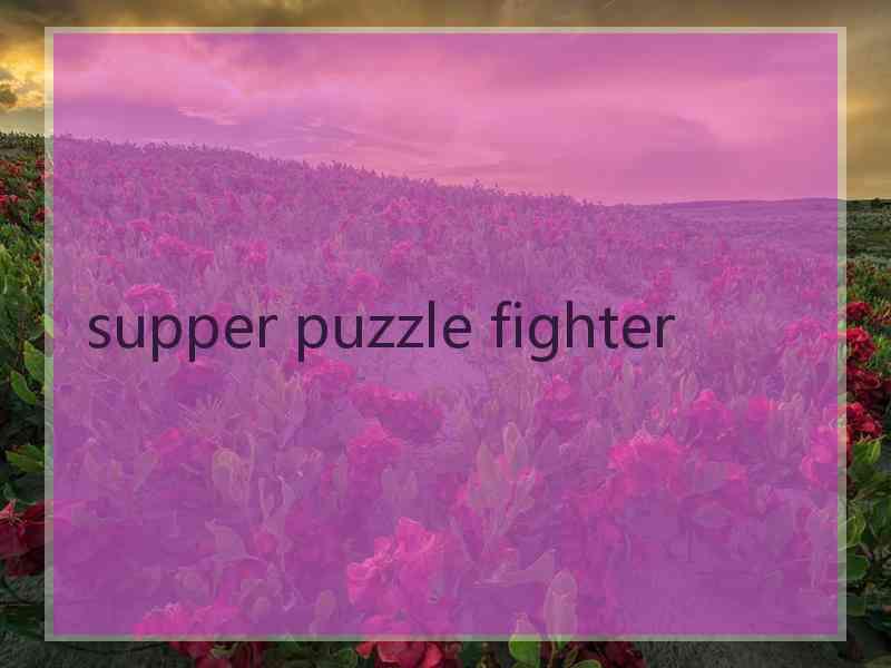 supper puzzle fighter