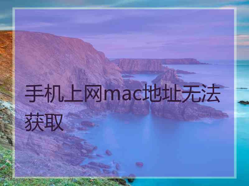 手机上网mac地址无法获取