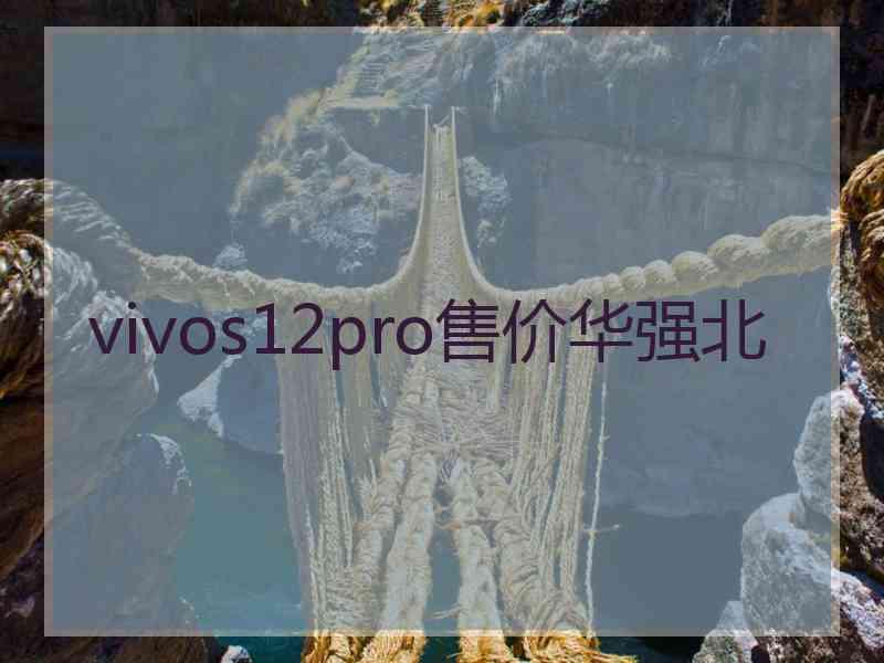 vivos12pro售价华强北