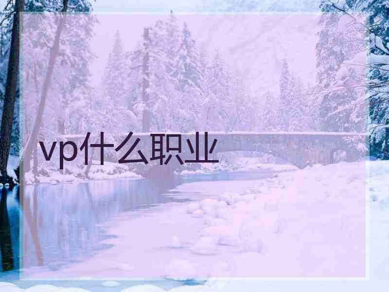 vp什么职业