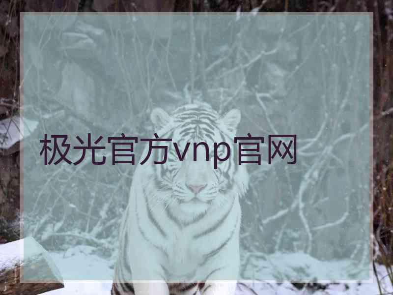 极光官方vnp官网