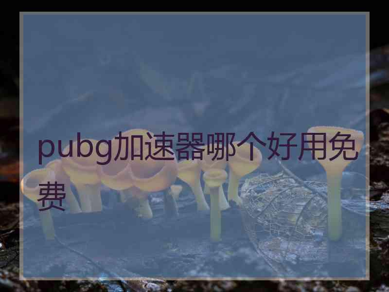 pubg加速器哪个好用免费