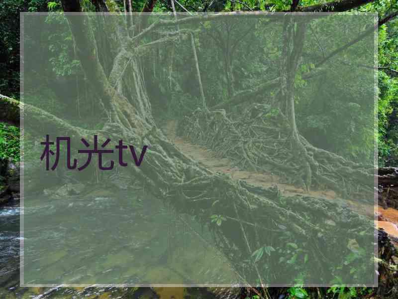 机光tv