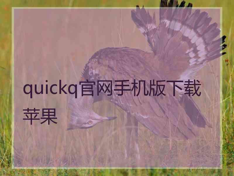 quickq官网手机版下载苹果