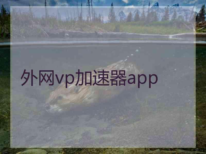 外网vp加速器app