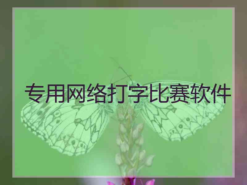 专用网络打字比赛软件