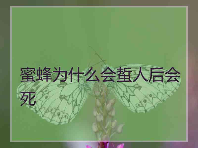 蜜蜂为什么会蜇人后会死