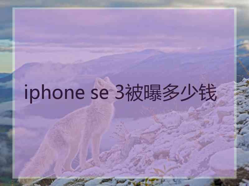 iphone se 3被曝多少钱