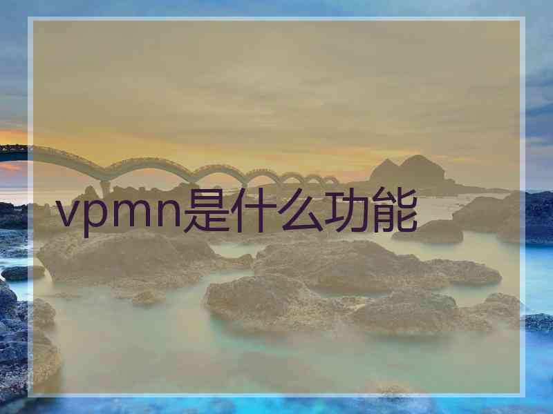 vpmn是什么功能