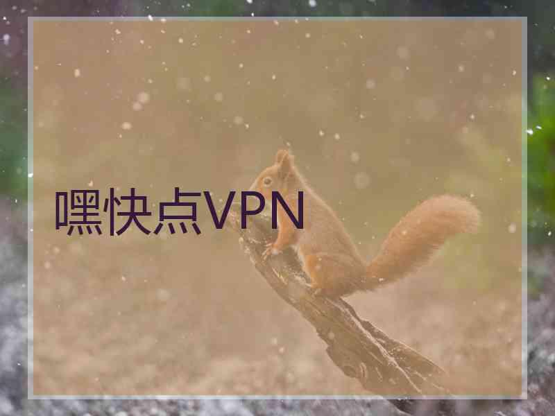 嘿快点VPN