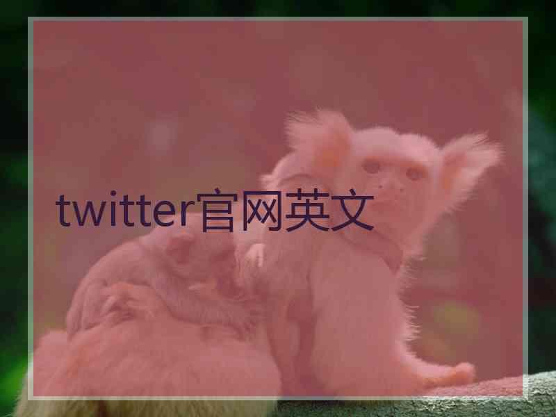 twitter官网英文