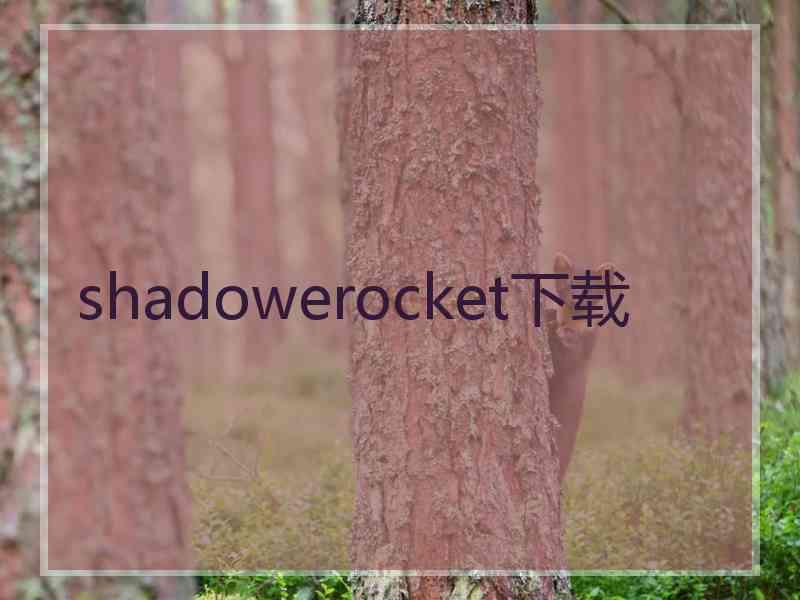 shadowerocket下载