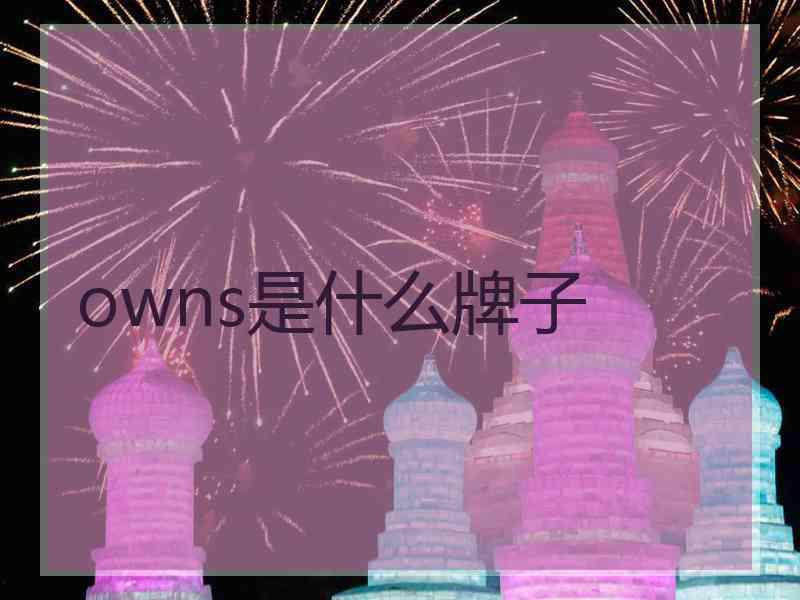 owns是什么牌子