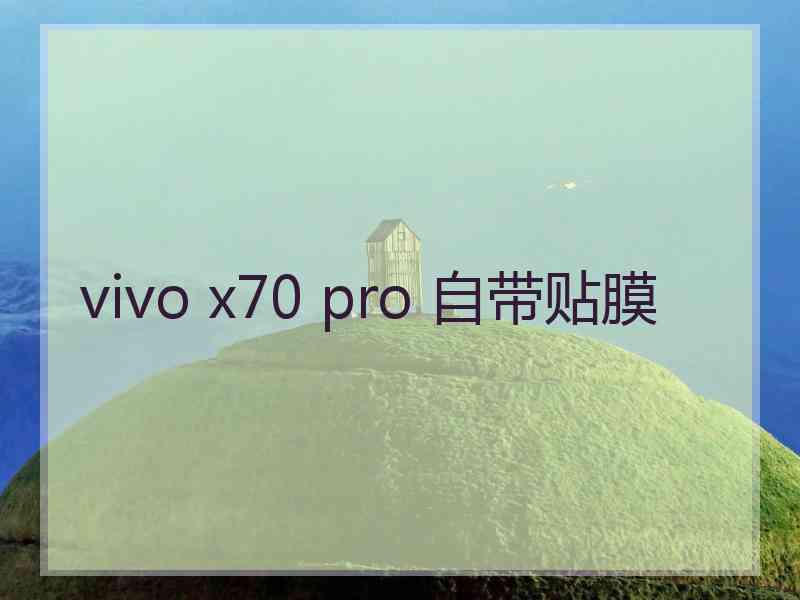 vivo x70 pro 自带贴膜