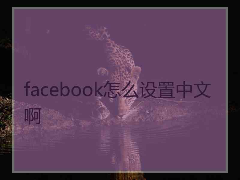 facebook怎么设置中文啊