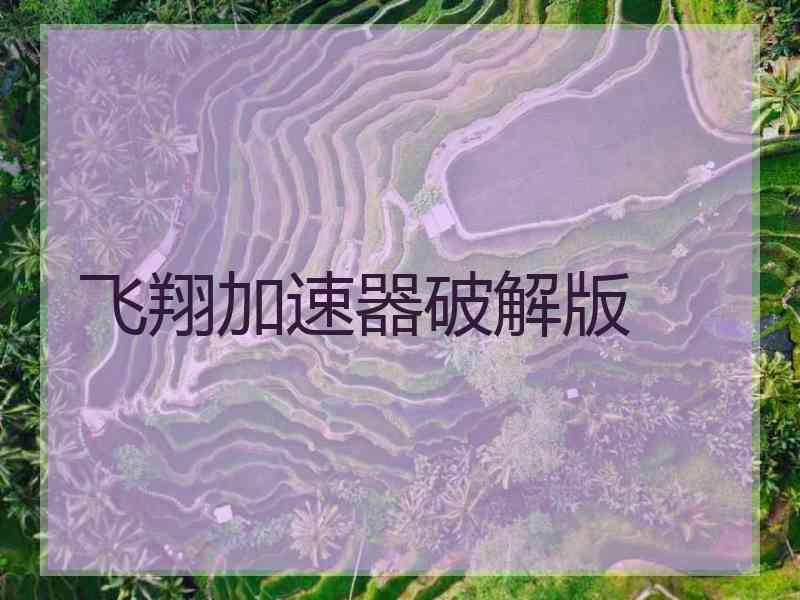 飞翔加速器破解版