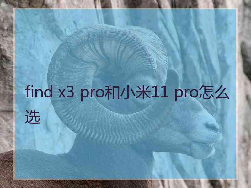 find x3 pro和小米11 pro怎么选