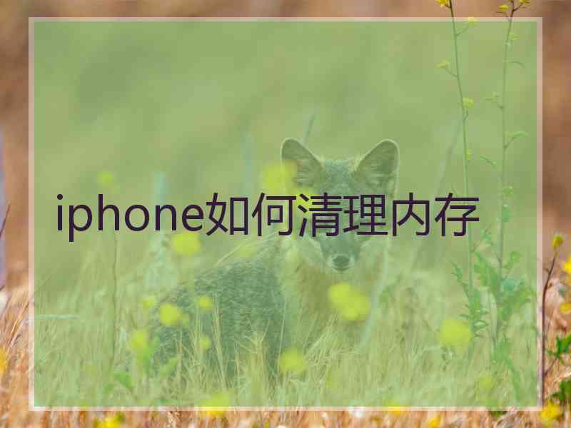 iphone如何清理内存