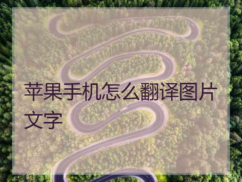 苹果手机怎么翻译图片文字