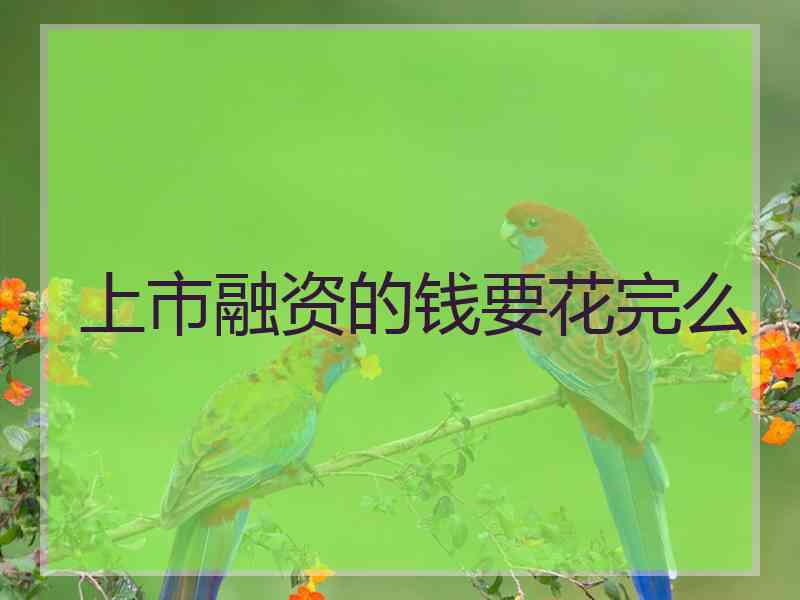 上市融资的钱要花完么