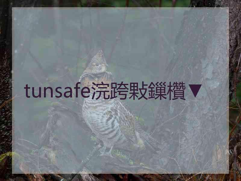 tunsafe浣跨敤鏁欑▼