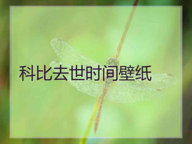 科比去世时间壁纸