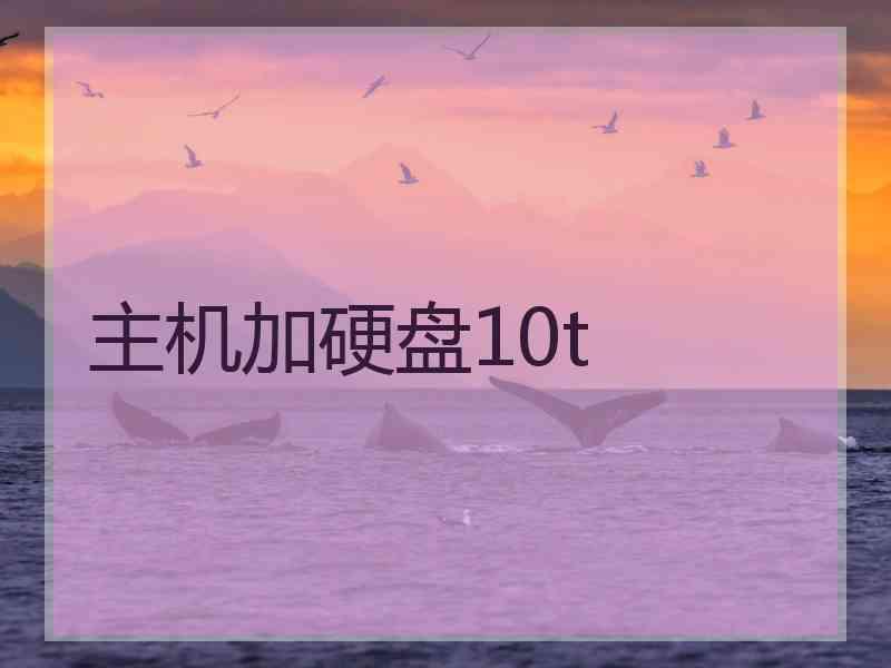 主机加硬盘10t