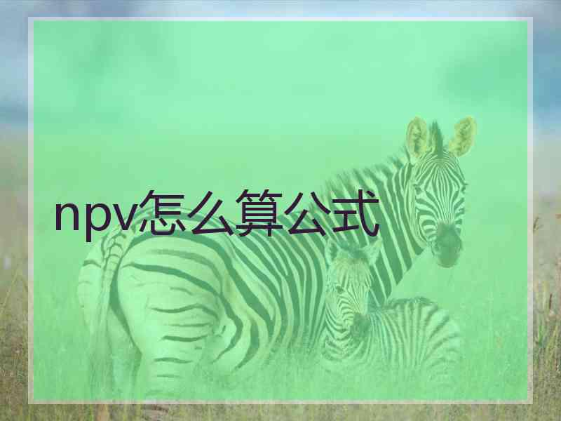 npv怎么算公式